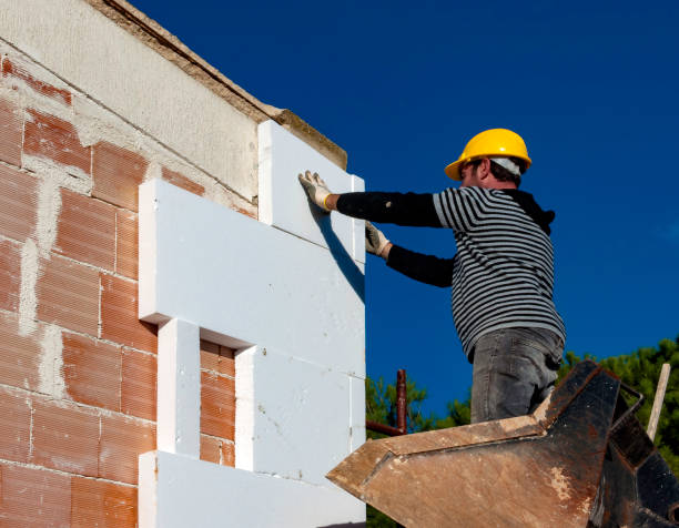 Best Insulation for New Construction  in Riverdale Park, CA